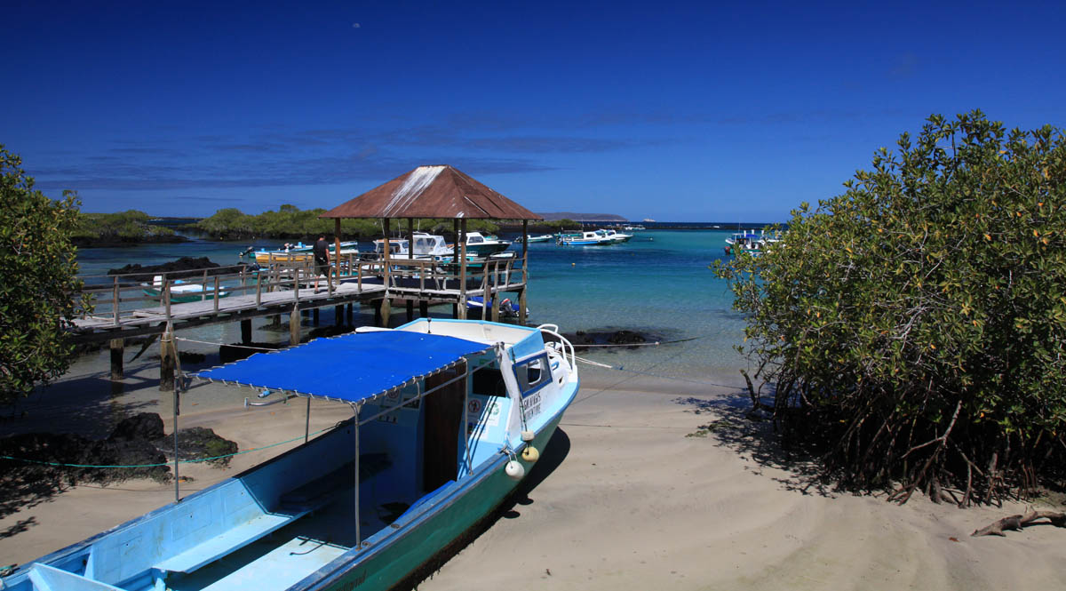 Haven van Puerto Villamil op Isabela